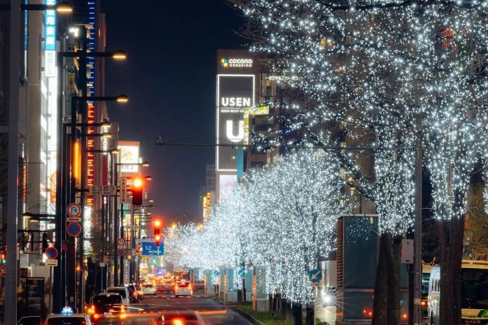 Eve Apartment Sapporo Japan